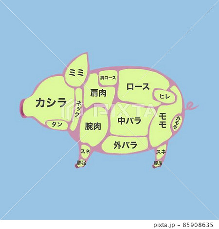豚肉の部位イラストのイラスト素材 [85908635] - PIXTA