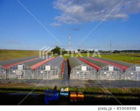 神崎町の風景 神崎町の風景 85908996