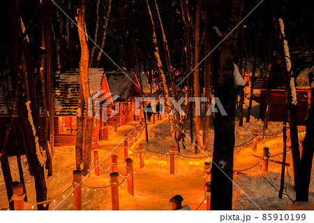 【北海道富良野の冬】夜のニングルテラス　1月　 85910199