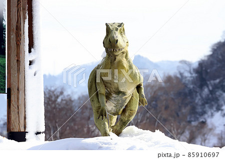越前勝山 まちなか恐竜（福井県 勝山市） 85910697