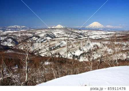 東中山から見る早春の羊蹄山と尻別岳 東中山から見る早春の羊蹄山と尻別岳 85911476