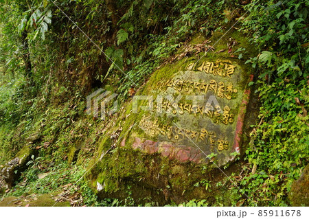 インド・シッキム州 ケチュパリ湖 近郊に刻まれたマントラ 85911678