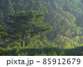 国境の島「対馬」 85912679
