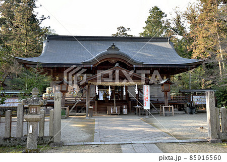 大和神社の拝殿 大和神社の拝殿 85916560