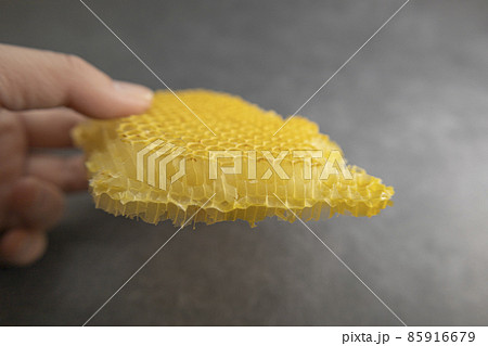 手に持った西洋みつばちの巣 85916679