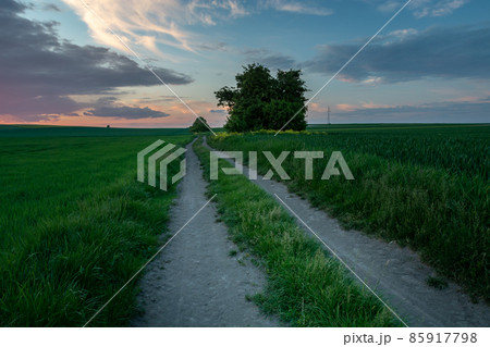 Rural road through green fields and the sky after sunset Rural road through green fields and the sky after sunset 85917798