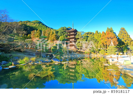 【山口県】快晴下の瑠璃光寺五重塔と塔影の池 85918117
