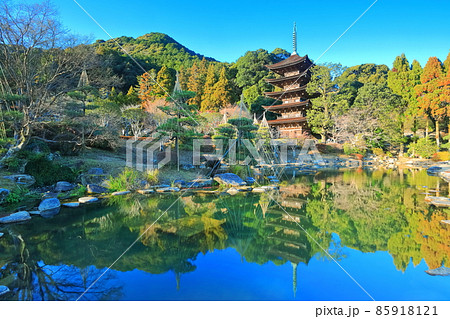 【山口県】快晴下の瑠璃光寺五重塔と塔影の池 85918121