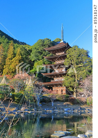 【山口県】快晴下の瑠璃光寺五重塔と塔影の池 85918147