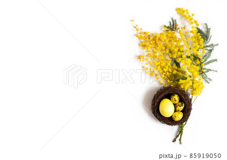 Easter eggs in a nest and branches of acacia flowers on a white background. Easter composition. Copy space, top view. Easter eggs in a nest and branches of acacia flowers on a white background. Easter composition. Copy space, top view. 85919050