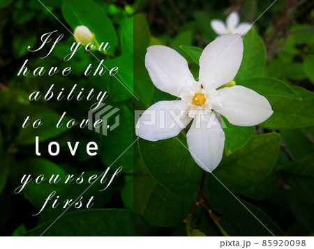 Motivational and inspirational quote with white flower background 85920098