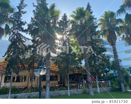 The city of Gagra in Abkhazia in the palms 85921730