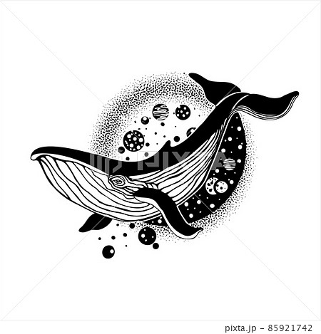 A fantastic whale floating in space A fantastic whale floating in space 85921742