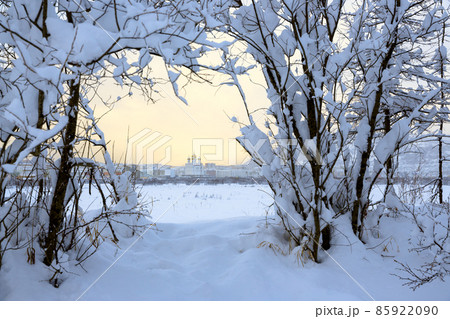 View through the snow-covered bushes to the city of Magadan. 85922090