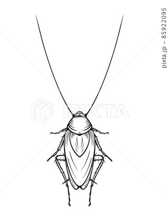 Mustachioed cockroach. Vector illustration in cartoon style on a white background. 85922095