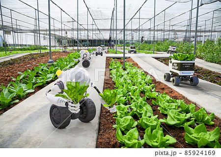 Agriculture robotic and autonomous car working in smart farm, Future 5G technology with smart agriculture farming concept, 3d render Agriculture robotic and autonomous car working in smart farm, Future 5G technology with smart agriculture farming concept, 3d render 85924169