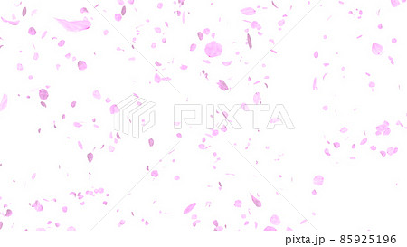 桜 桜吹雪 舞い散る ピンク 透過背景 別verあり のイラスト素材