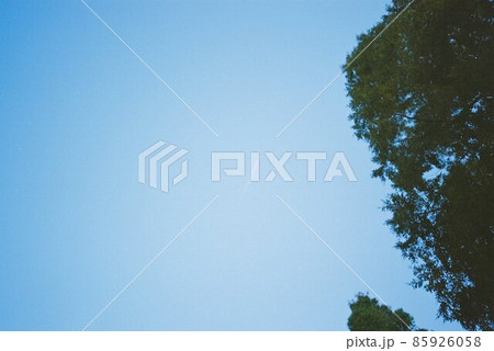 フィルムカメラで撮影した青空と飛行機雲 85926058