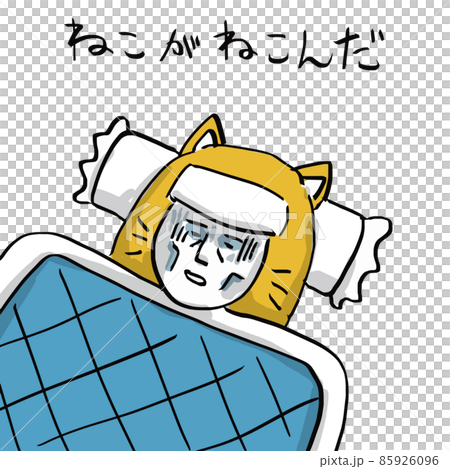 駄洒落　ねこがねこんだ 85926096