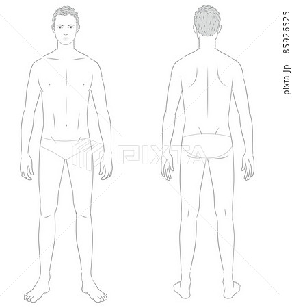 男性の身体、正面と背面の全身、メディカルイラスト 85926525