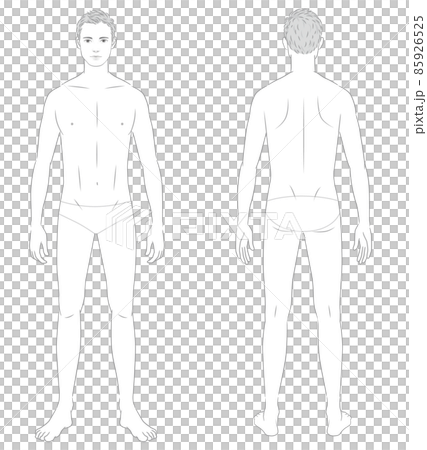 Male Body Whole body - Stock Illustration [38509018] - PIXTA