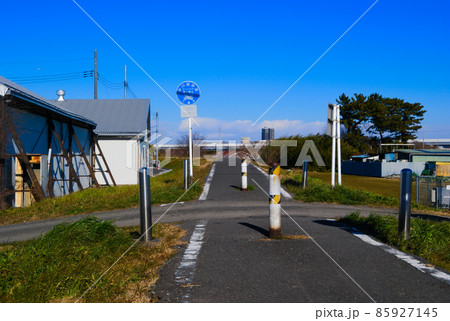 埼玉県八潮市中川遊歩道2022年1月 85927145