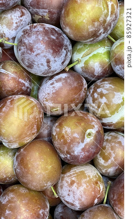 Harvested plums , close up top view, vertical orientation Harvested plums , close up top view, vertical orientation 85927321