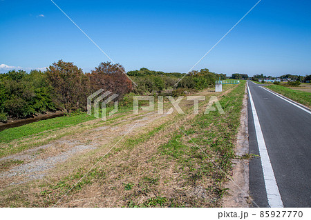 市野川大橋付近　サイクリングロード　川島町 85927770
