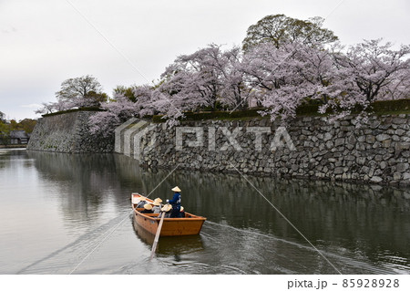 日本の兵庫県の姫路市　満開の桜と姫路城　周りのお堀を進む観光船　伝統的な帽子を被る船頭と観光客 85928928