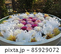 花手水アップ 85929072