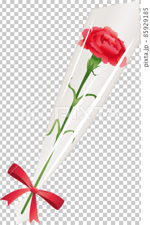 Image illustration of wrapped flowers (carnations). (Mother's Day) Image illustration of wrapped flowers (carnations). (Mother's Day) 85929185