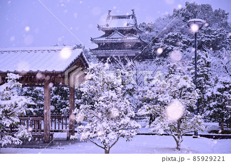 雪の舞う　西尾市歴史公園 85929221