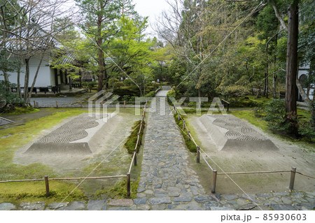京都 法然院の春 京都 法然院の春 85930603