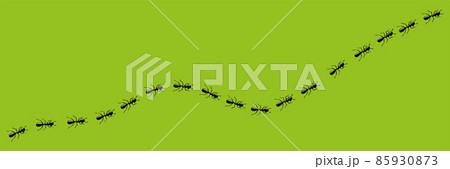 Ants trail. Route or path of ants isolated in green background. Vector illustration Ants trail. Route or path of ants isolated in green background. Vector illustration 85930873