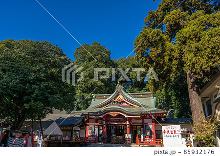 日枝神社 清瀬市 ご神木 日枝神社 清瀬市 ご神木 85932176