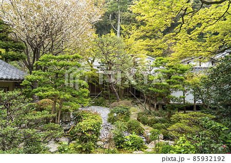京都　法然院の春 85932192