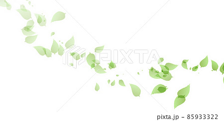 新緑 葉 風景 背景 新緑 葉 風景 背景 85933322