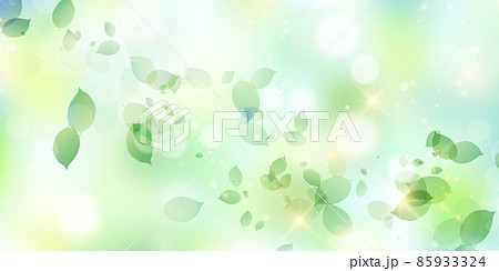 新緑　葉　風景　背景 85933324