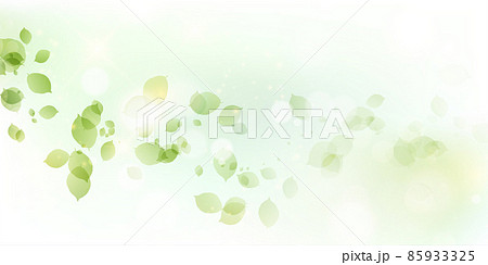 新緑　葉　風景　背景 85933325