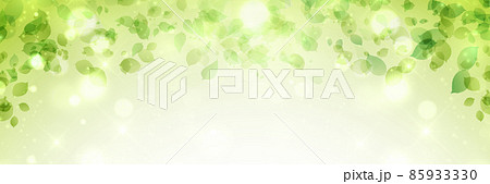 新緑　葉　風景　背景 85933330