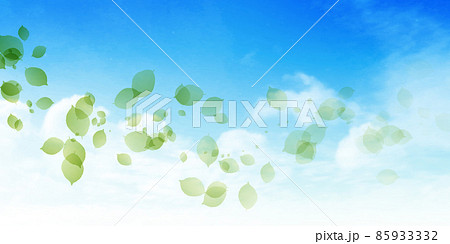 新緑 葉 風景 背景 新緑 葉 風景 背景 85933332
