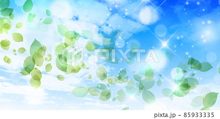 新緑 葉 風景 背景 新緑 葉 風景 背景 85933335