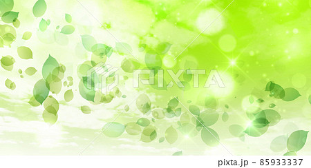 新緑 葉 風景 背景 新緑 葉 風景 背景 85933337
