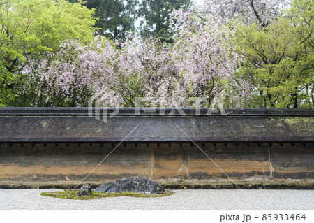 京都 龍安寺の石庭 京都 龍安寺の石庭 85933464