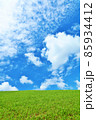 夏の青空と新緑の草原風景 85934412