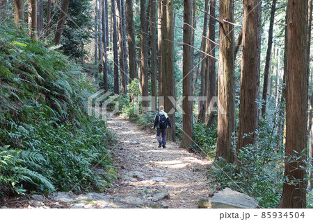 三重県伊勢市の朝熊山登山道6 85934504