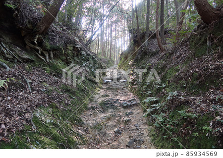 三重県伊勢市の朝熊山登山道10 85934569