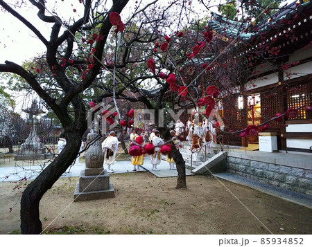 咲き始めの紅梅の向こうに修験道の一行が祈る節分祭 咲き始めの紅梅の向こうに修験道の一行が祈る節分祭 85934852