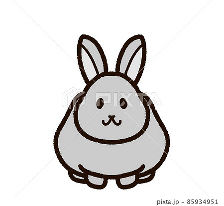 かわいいウサギ ネザーランドドワーフのイラスト素材