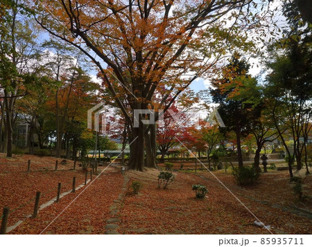 紅葉山公園　　（福島県福島市） 85935711